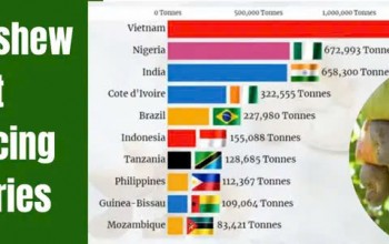 The World's Major Cashew Nut Producing Countries