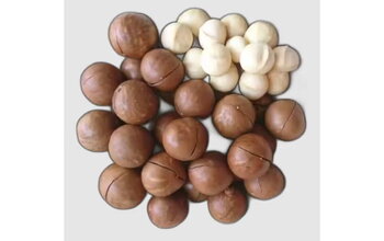 What is Macadamia? Comparison with Other Nuts