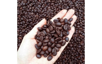 Cà Phê Nguyên Hạt: Hướng Dẫn Chuyên Sâu Từ Khái Niệm, Phân Loại Đến Cách Chọn Mua Và Bảo Quản Chuẩn